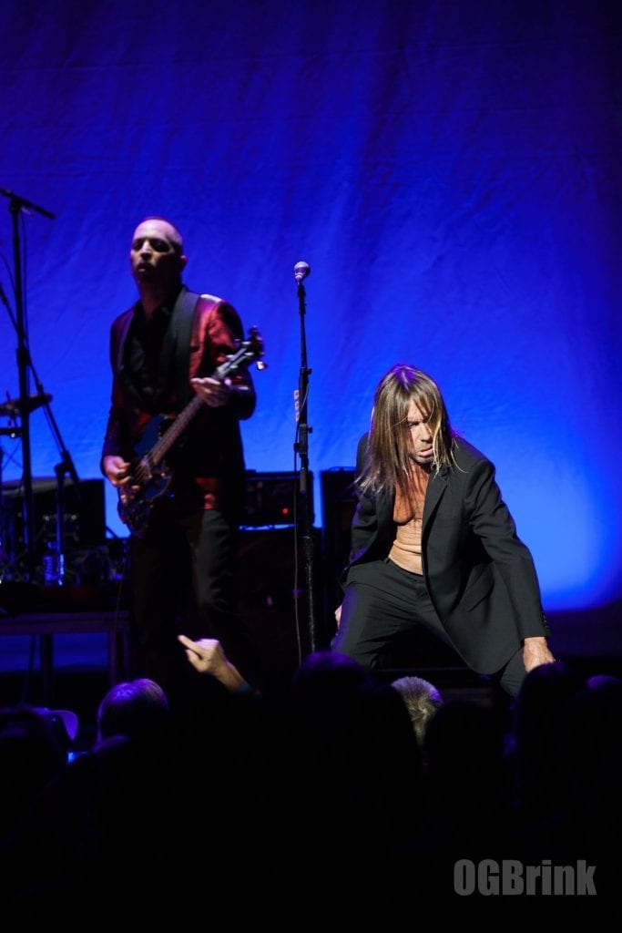 iggy pop, suit no shirt, on stage